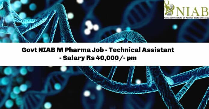 Govt NIAB M Pharma Job - Technical Assistant - Salary Rs 40,000/- pm