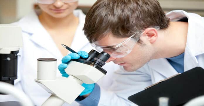 ICAR-NRCE Pharma Research Fellow Job Vacancy - Applications Invited