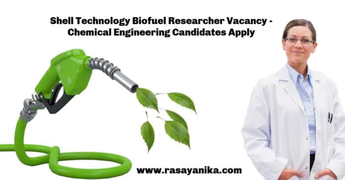 Shell Technology Biofuel Researcher Vacancy - Chemical Engineering Candidates Apply