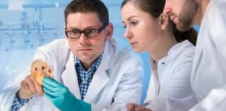 CSIR CIMAP Chemistry & Pharma Job Vacancy - Applications Invited