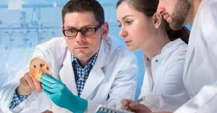 CSIR CIMAP Chemistry & Pharma Job Vacancy - Applications Invited
