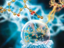 NII Chemical Science SRF Post Vacancy 2022 - Applications Invited