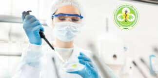 PGIMER M Pharma Research Fellow Job Vacancy - Applications Invited