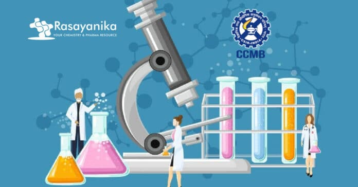 CSIR CCMB Chemical Science Job Vacancy - Applications Invited