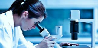Shell Technology Chemistry Lab Analyst Vacancy - Apply Online
