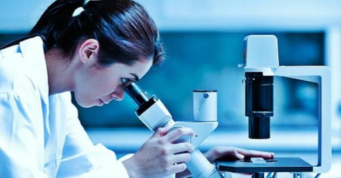 Shell Technology Chemistry Lab Analyst Vacancy - Apply Online