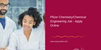 Pfizer Chemistry/Chemical Engineering Job - Apply Online