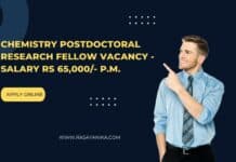 Chemistry Postdoctoral Research Fellow Vacancy - Salary Rs 65,000/- p.m.