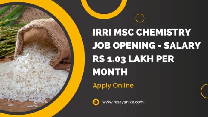 IRRI MSc Chemistry Job Opening - Salary Rs 1.03 Lakh per month