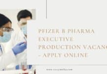 Pfizer B Pharma Executive Production Vacancy - Apply Online