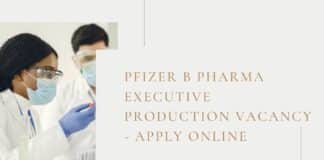 Pfizer B Pharma Executive Production Vacancy - Apply Online