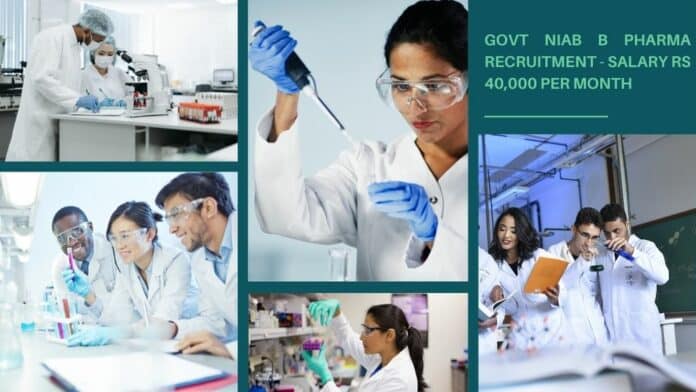 Govt NIAB B Pharma Recruitment - Salary Rs 40,000 per month