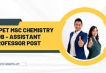 CIPET MSc Chemistry Job - Assistant Professor Post