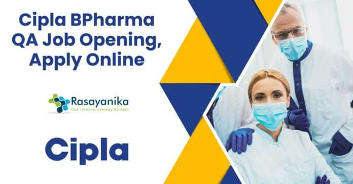 Cipla BPharma QA Job