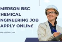 Emerson BSc Chemical Engineering Job - Apply Online