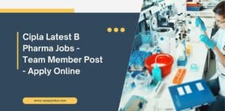 Cipla Latest B Pharma Jobs - Team Member Post - Apply Online