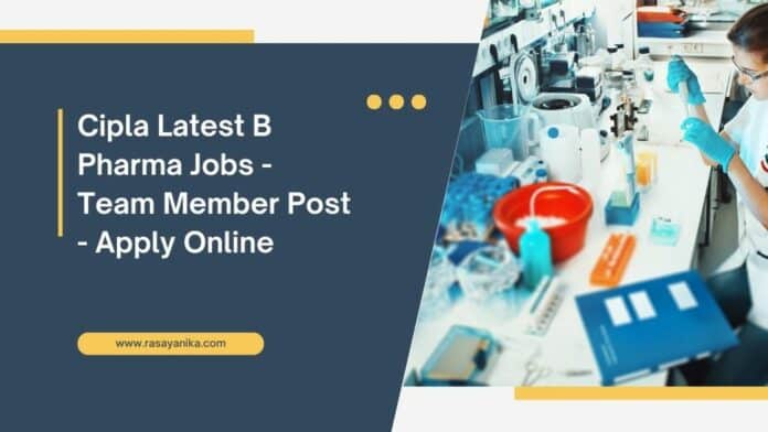 Cipla Latest B Pharma Jobs - Team Member Post - Apply Online