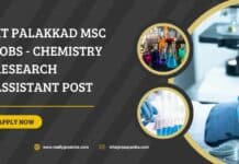 IIT Palakkad MSc Jobs - Chemistry Research Assistant Post