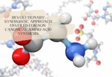 Revolutionary Synergistic Approach Unveiled for Non-Canonical Amino Acid Synthesis