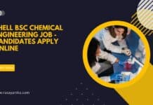 Shell BSc Chemical Engineering Job - Candidates Apply Online