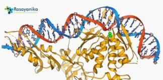 Proteomics
