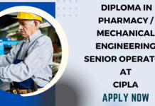 Senior Operator at Cipla