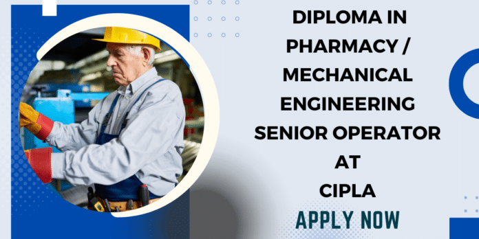 Senior Operator at Cipla