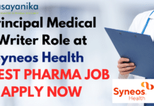 Principal Medical Writer Role