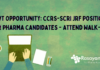 IIT Mandi Research Associate