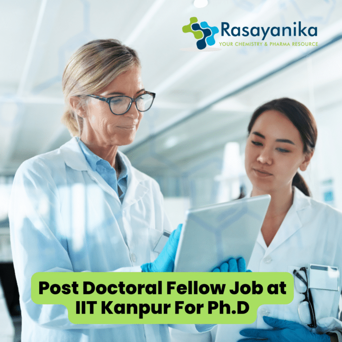 Post Doctoral Fellow Job at IIT Kanpur For Ph.D. Candidates
