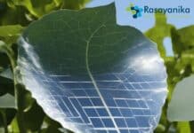 photovoltaic leaf