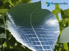 photovoltaic leaf