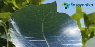 photovoltaic leaf