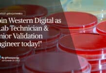 "Join Western Digital as a Lab Technician & Junior Validation Engineer today!"