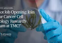 "Hot Job Opening: Join Our Cancer Cell Biology Research Team at TMC!"