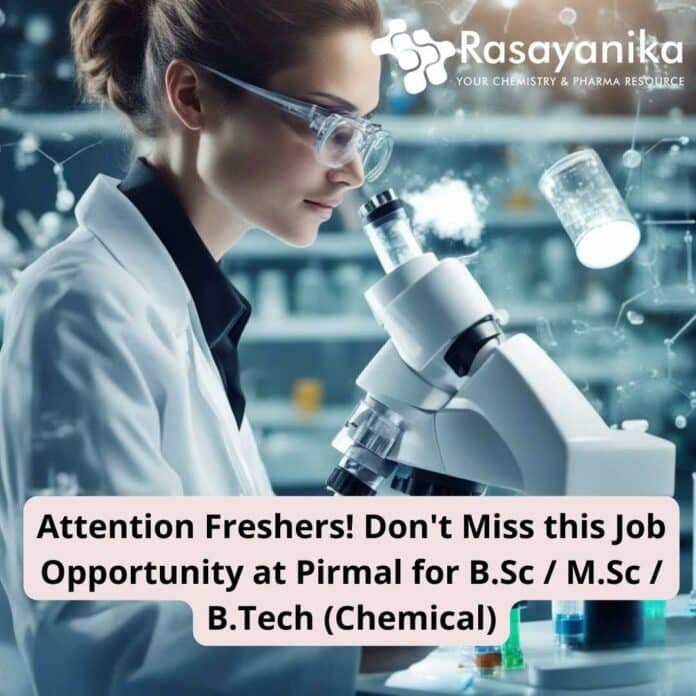 Freshers Job Executive