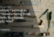 "Multiple Openings in DP Manufacturing Team at Stelis Biopharma: Apply Now!"