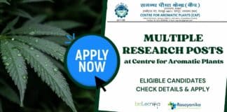 Centre for Aromatic Plants Hiring