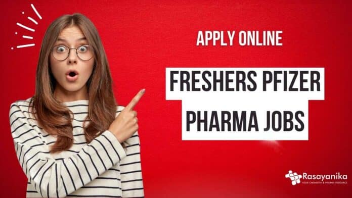 Freshers Pfizer Jobs