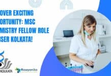 MSc Chemistry Fellow Job