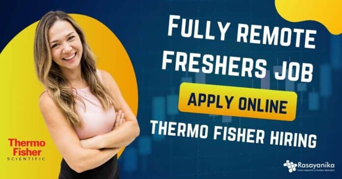 Fully Remote Freshers Job