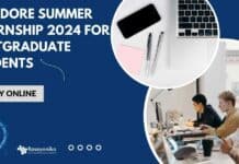 Summer Internship 2024 IIT