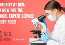 RCB Technical Expert Job