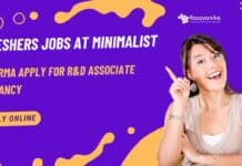 Freshers Jobs at Minimalist