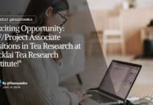 "Exciting Opportunity: JRF/Project Associate Positions in Tea Research at Tocklai Tea Research Institute!"