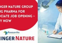 Springer Nature Group Hiring