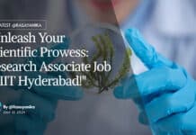 "Unleash Your Scientific Prowess: Research Associate Job at IIT Hyderabad!"