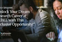 DRO-DEBEL Chemical Engineering Research Fellow Recruitment - Apply Now