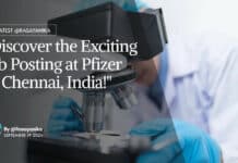 Pfizer Pharmaceutical Sciences Job Opening - Apply Online