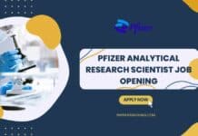 Pfizer Analytical Research Scientist